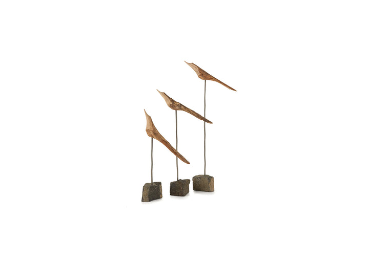 Winged Delights, Set of 3