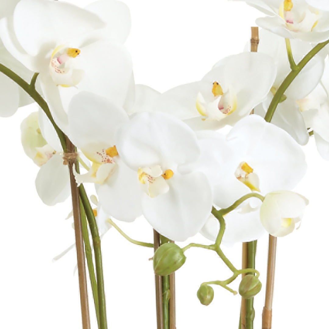 Orchid in Pearl Ceramic Bowl - 30"